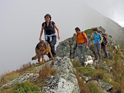 36 scendiamo al passo...